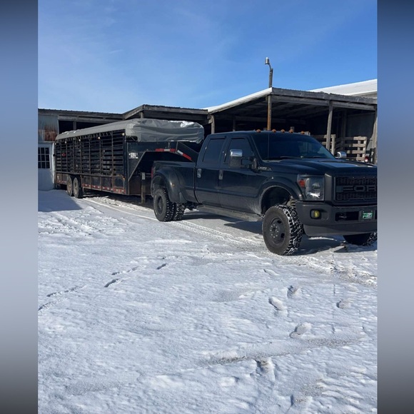 Meet your Posher, Olivia - Picture 8 of 12